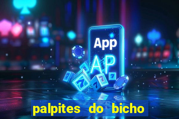 palpites do bicho no celular