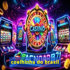 coelhinha do brasil