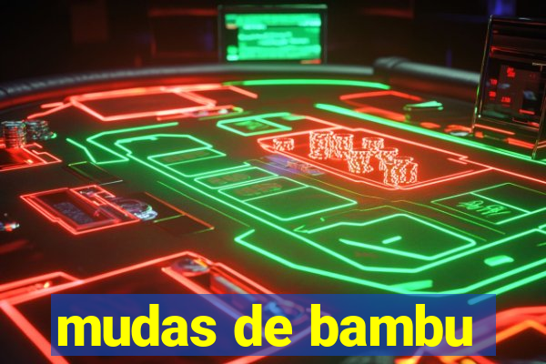 mudas de bambu