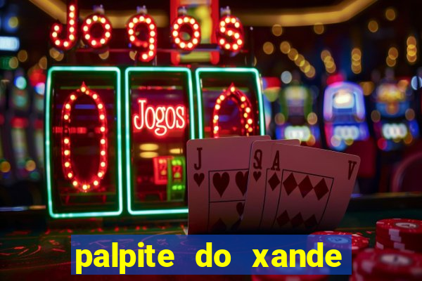 palpite do xande de hoje