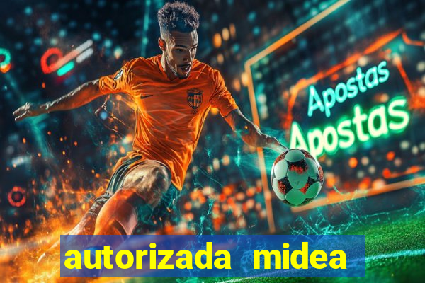 autorizada midea porto alegre