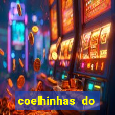 coelhinhas do brasil acompanhantes