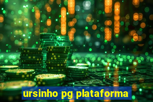 ursinho pg plataforma