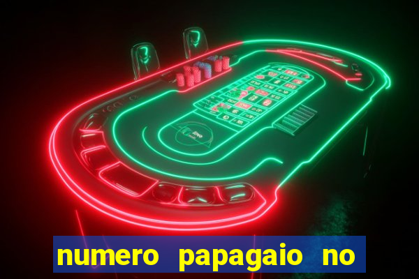 numero papagaio no jogo do bicho