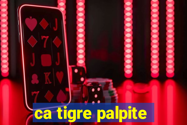 ca tigre palpite