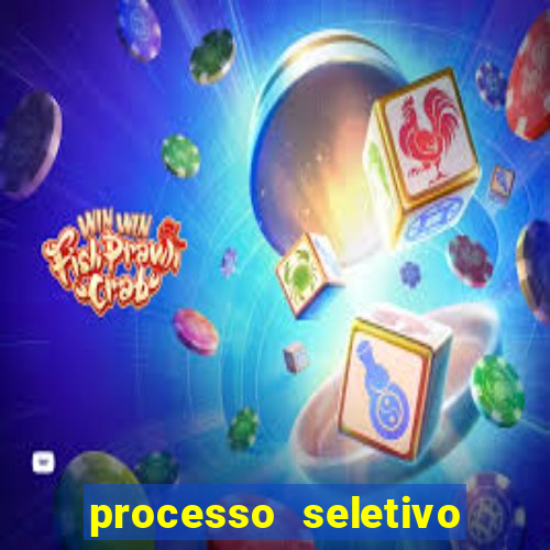 processo seletivo cerejeiras 2024