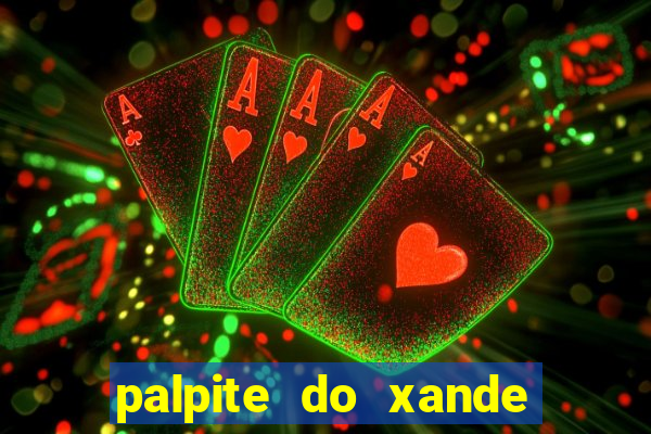 palpite do xande para hoje