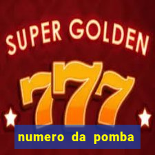 numero da pomba jogo do bicho