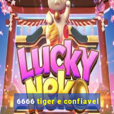 6666 tiger e confiavel