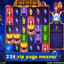 234 vip paga mesmo