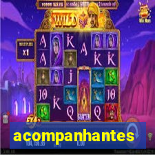 acompanhantes chamada de video