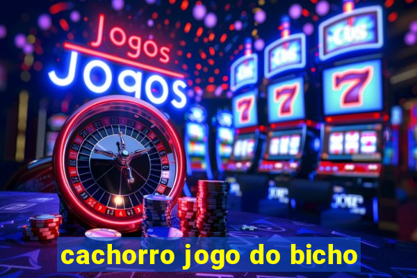 cachorro jogo do bicho