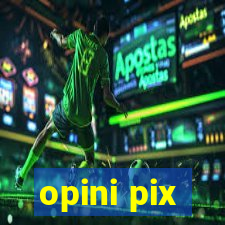 opini pix