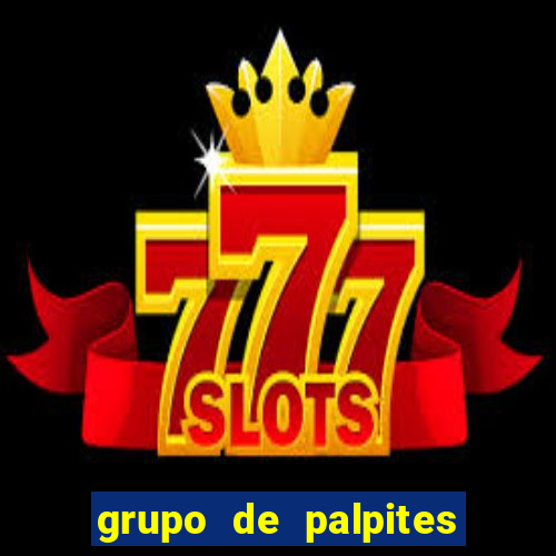 grupo de palpites de futebol whatsapp