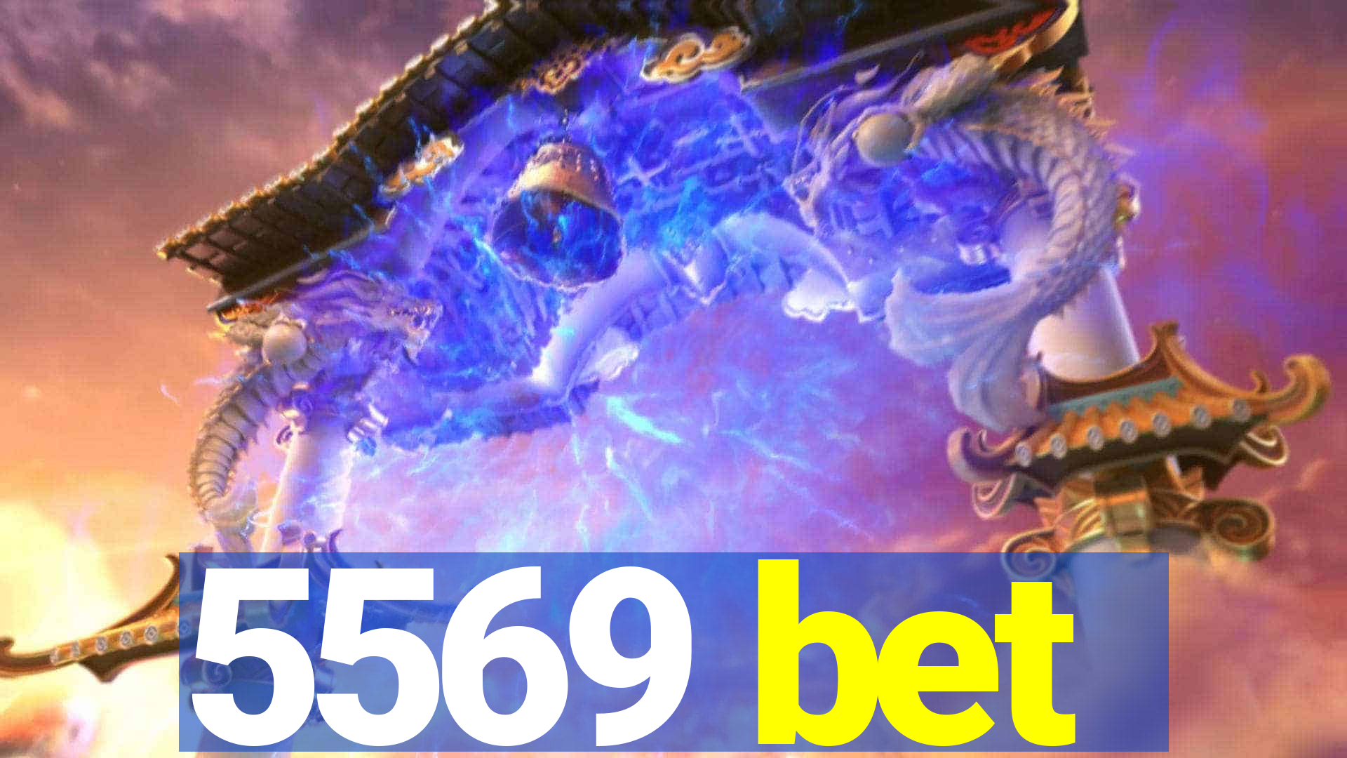 5569 bet