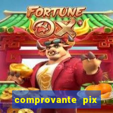 comprovante pix fake meme