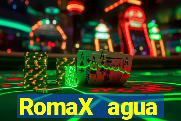 RomaX agua sanitaria fispq agua sanitaria romax