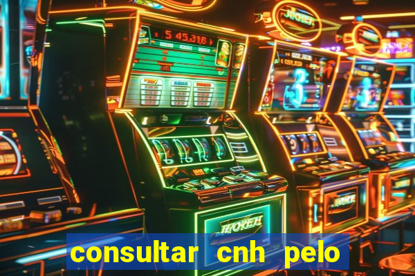 consultar cnh pelo cpf sp