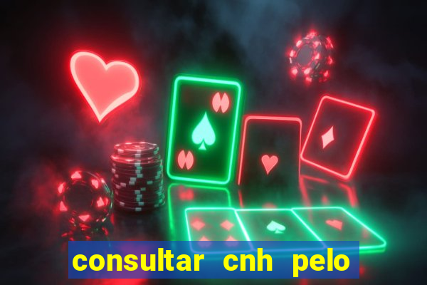 consultar cnh pelo cpf sp