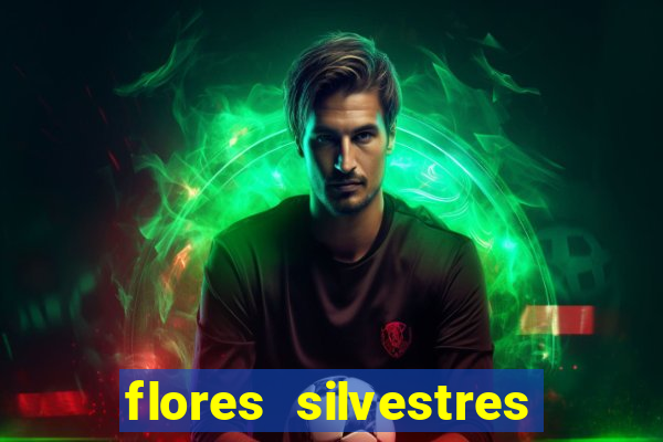 flores silvestres desbravadores desbravadores 25 flores silvestres e seus nomes