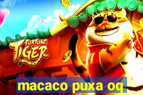 macaco puxa oq