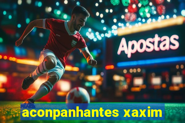 aconpanhantes xaxim