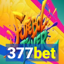 377bet