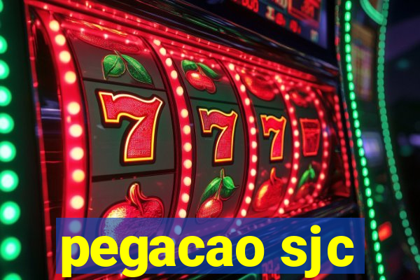 pegacao sjc