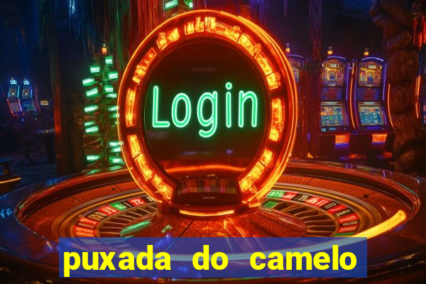 puxada do camelo no jogo do bicho