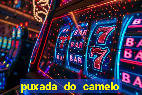 puxada do camelo no jogo do bicho