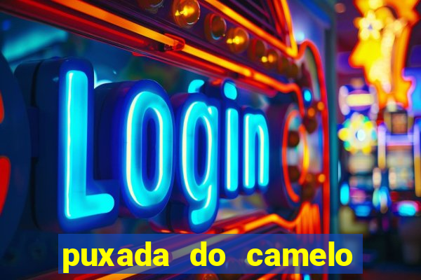 puxada do camelo no jogo do bicho