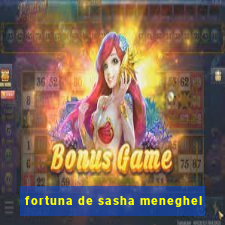 fortuna de sasha meneghel