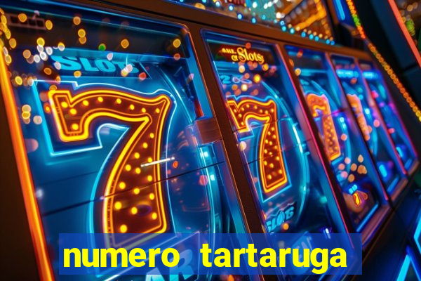 numero tartaruga jogo do bicho