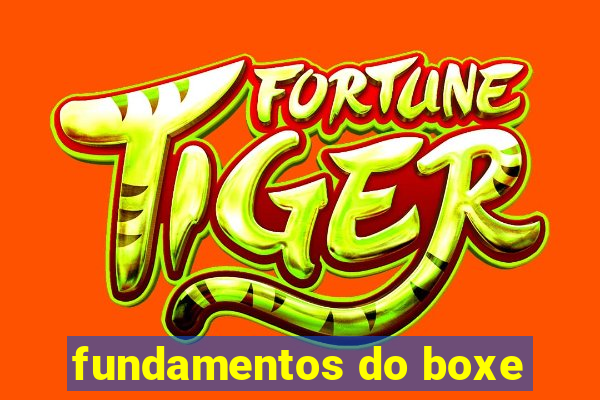 fundamentos do boxe