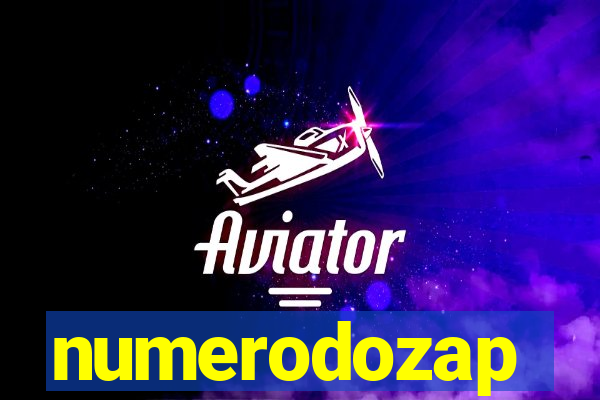 numerodozap