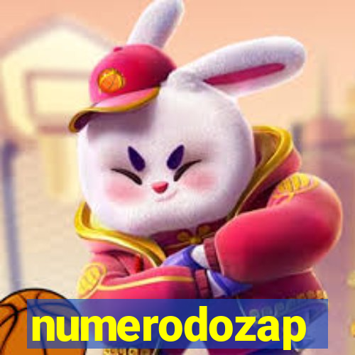 numerodozap