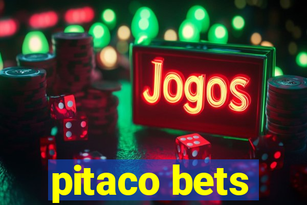 pitaco bets