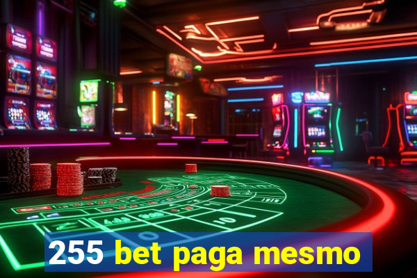 255 bet paga mesmo