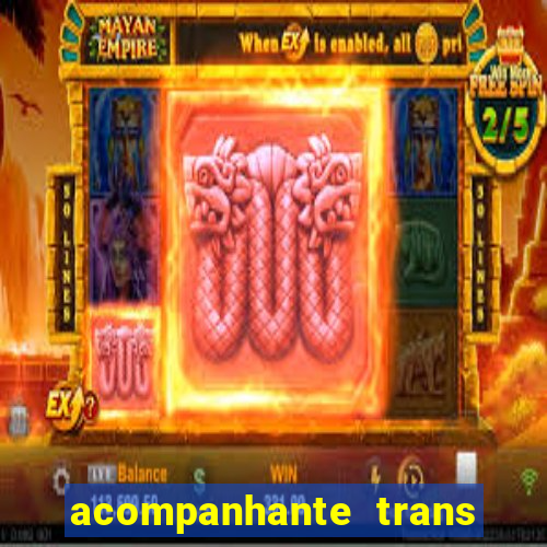 acompanhante trans de santos