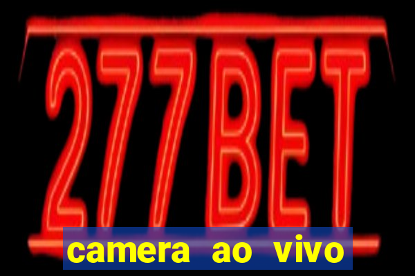 camera ao vivo beto carrero