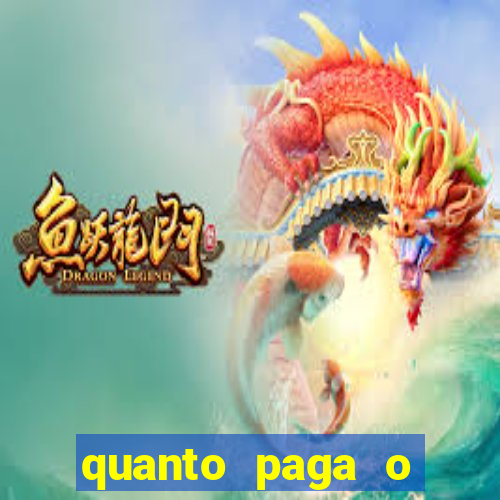 quanto paga o jungle fight