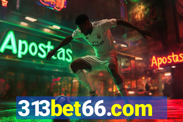 313bet66.com