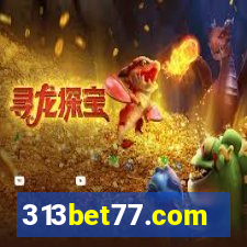 313bet77.com