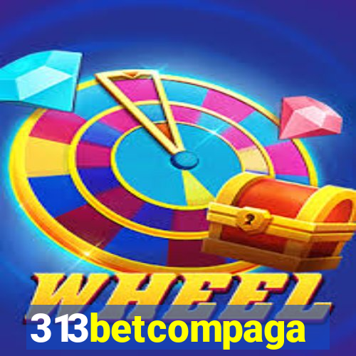 313betcompaga