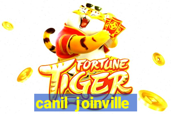 canil joinville vila nova