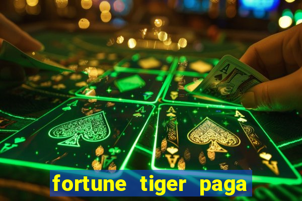 fortune tiger paga de madrugada