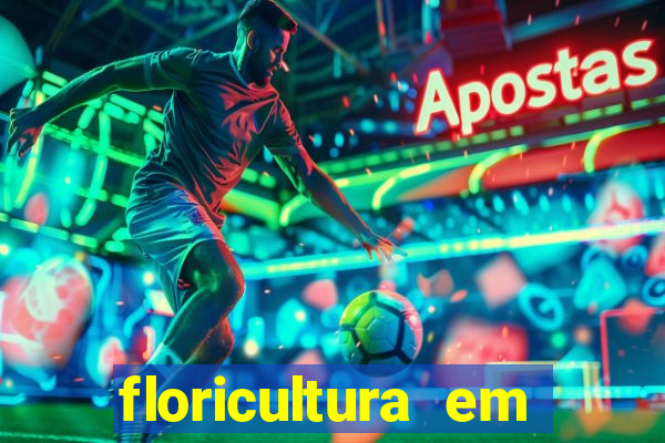 floricultura em lauro de freitas