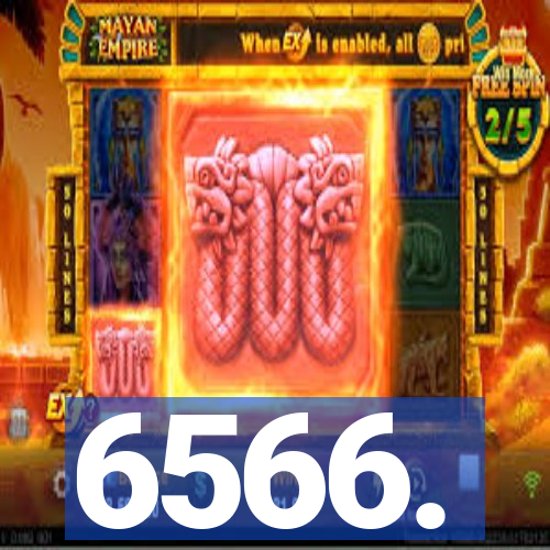 6566.