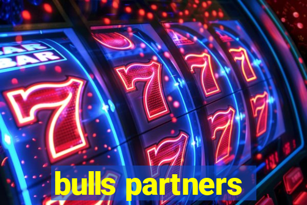 bulls partners