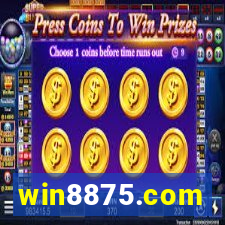 win8875.com